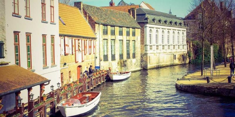 从爆款案例看娱乐资讯传播:趣味视频与明星八卦如何引爆流量