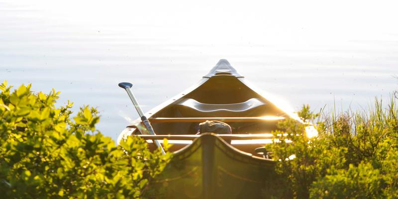 娱乐新闻与趣味视频:解码当代人的“喜乐见”精神需求