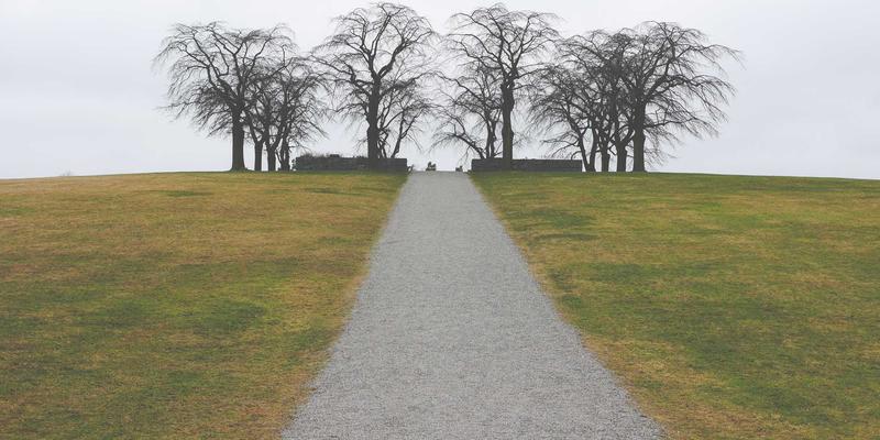 娱乐资讯68:喜乐见闻中的明星八卦,为何成为大众情绪的调节剂?