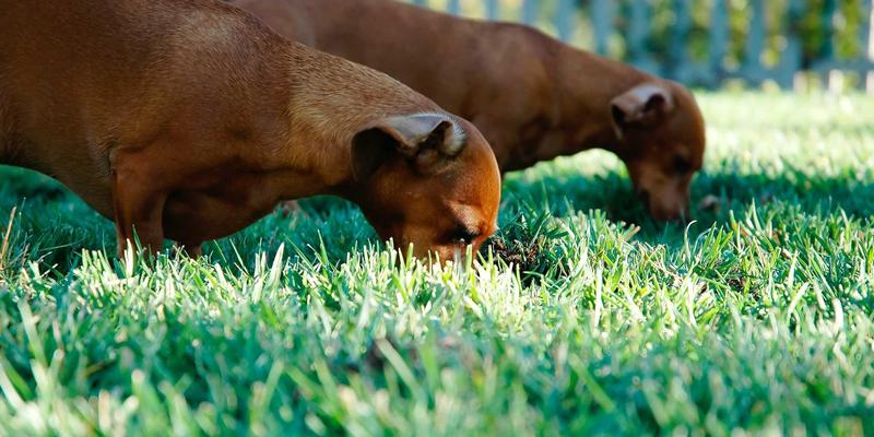 娱乐资讯怎么用?解锁明星八卦、搞笑视频与娱乐新闻的正确打开方式
