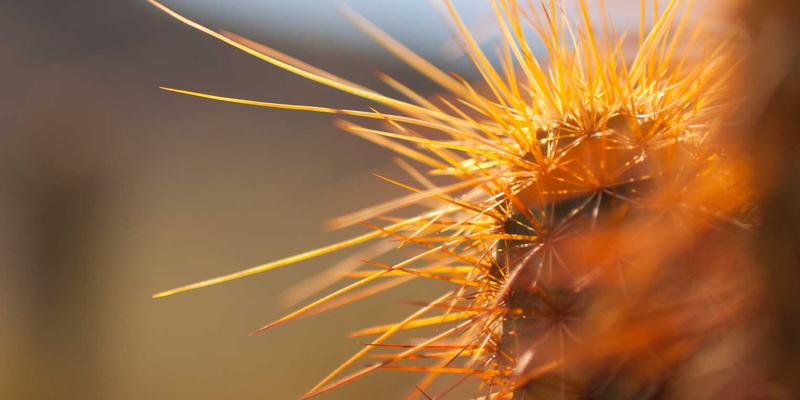 娱乐资讯新浪潮：喜乐见如何引领与文旅、电商的跨界融合新范式