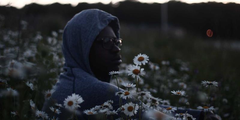 娱乐资讯新风向：从明星八卦到搞笑视频，我们为何乐此不疲？