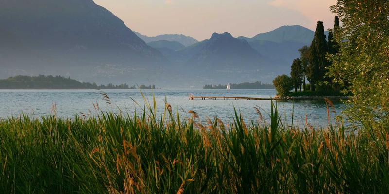 娱乐资讯的银发蓝海：解码中老年群体对搞笑视频与娱乐新闻的真实需求