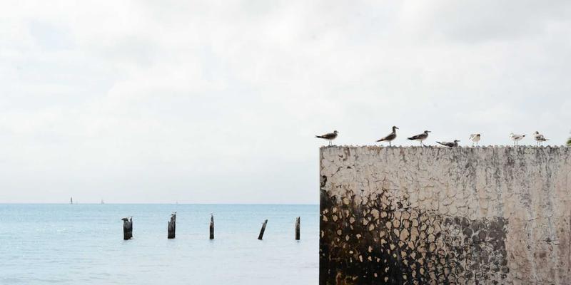 当线下娱乐强势回归：沉浸式戏剧、剧本杀与主题乐园如何抢占你的注意力？