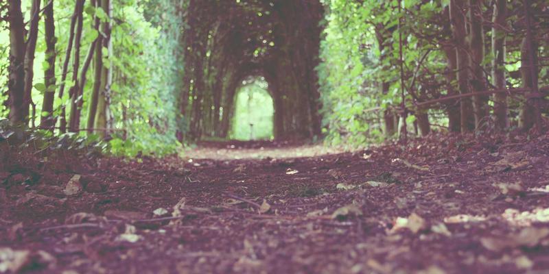 搞笑视频为何成为现代人解压首选?喜乐见娱乐资讯深度解析