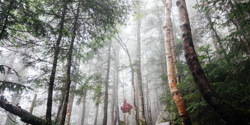 搞笑视频、娱乐新闻与明星八卦：如何辨别真伪并获取高质量娱乐资讯？