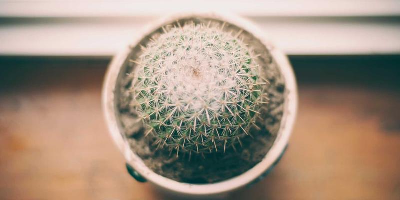 短视频冲击下，长文娱乐资讯的生存之道：以“喜乐见”为例，重塑深度趣味价值