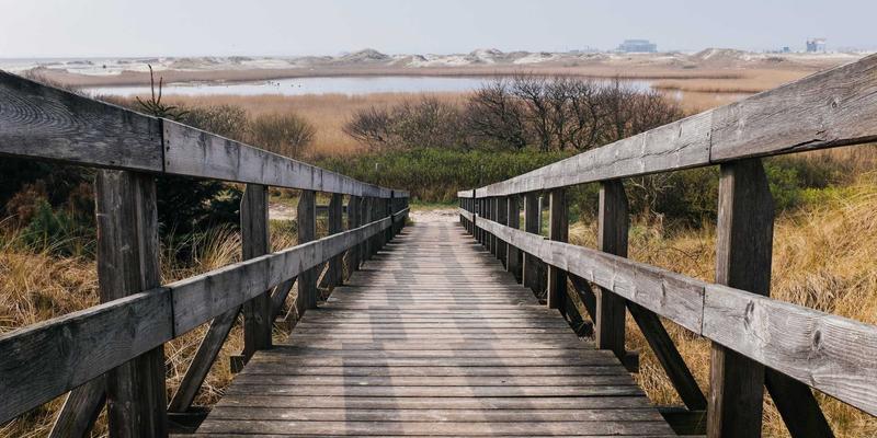 趣味视频与明星八卦如何“破圈”？三大策略让娱乐资讯喜乐见